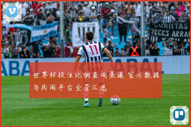 世界杯投注比例查询渠道 官方数据与民间平台全景汇总