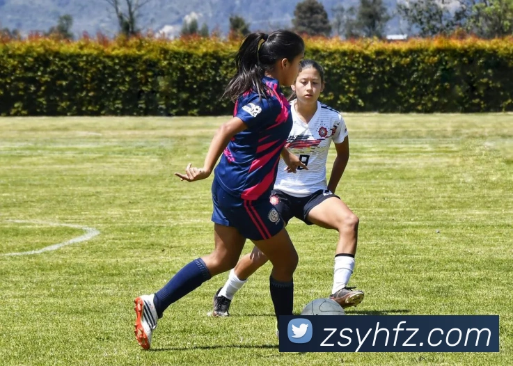 世界杯官网平台平台生态图